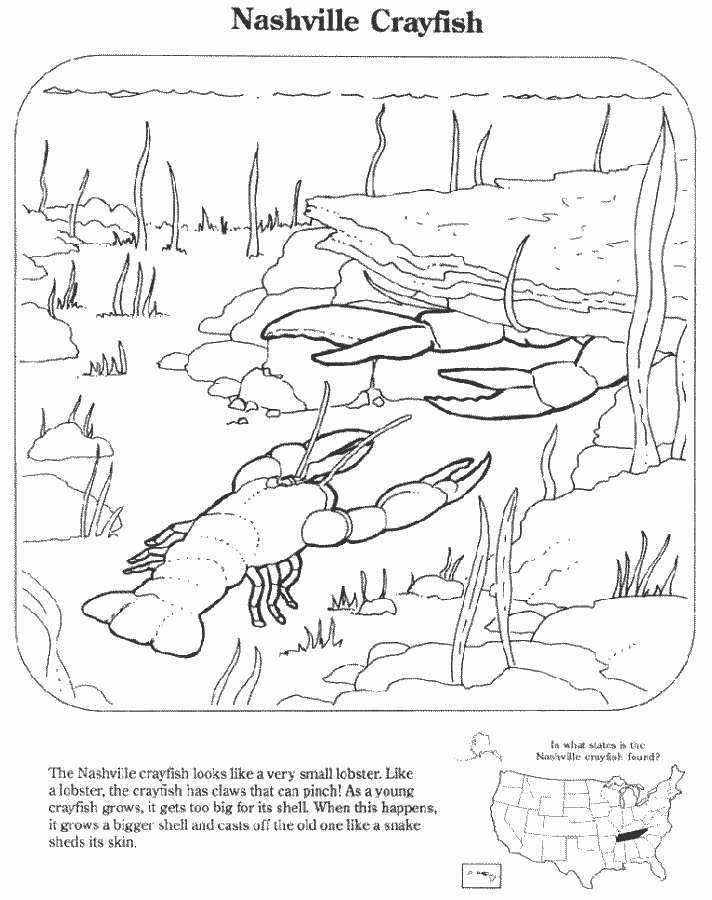 nashville tennessee coloring pages - photo #16