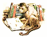 monkey browsing at the library