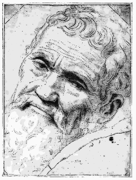 Michelangelo sketch