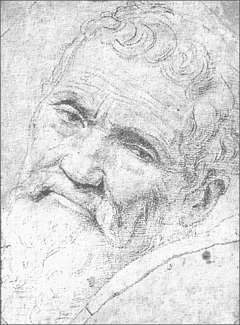 Michelango Portrait by Volterra