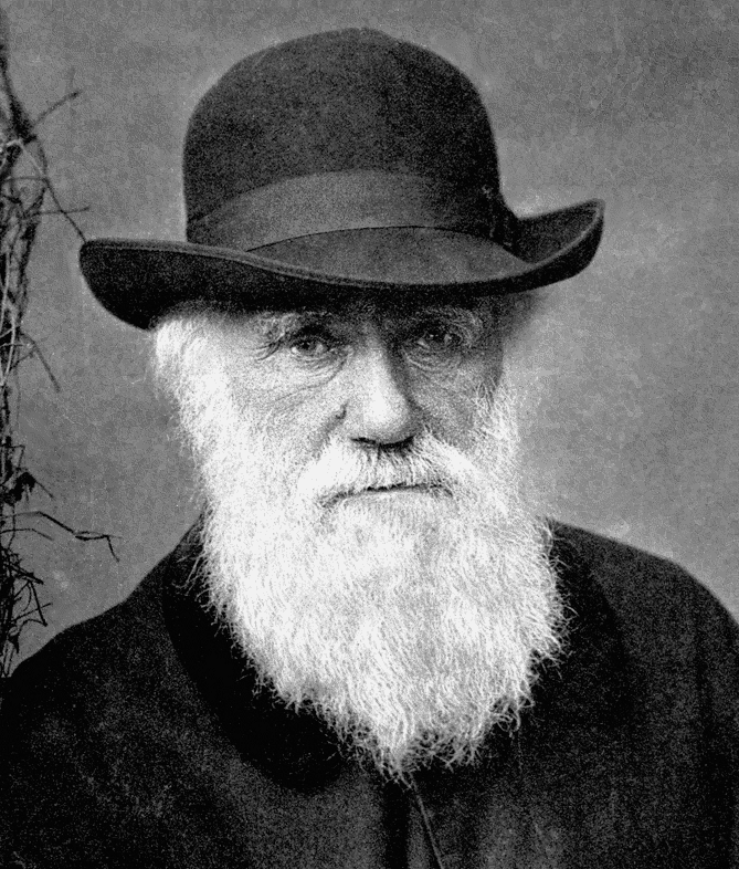 Darwin 1881