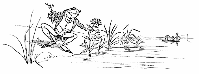 frog goes wooing 1