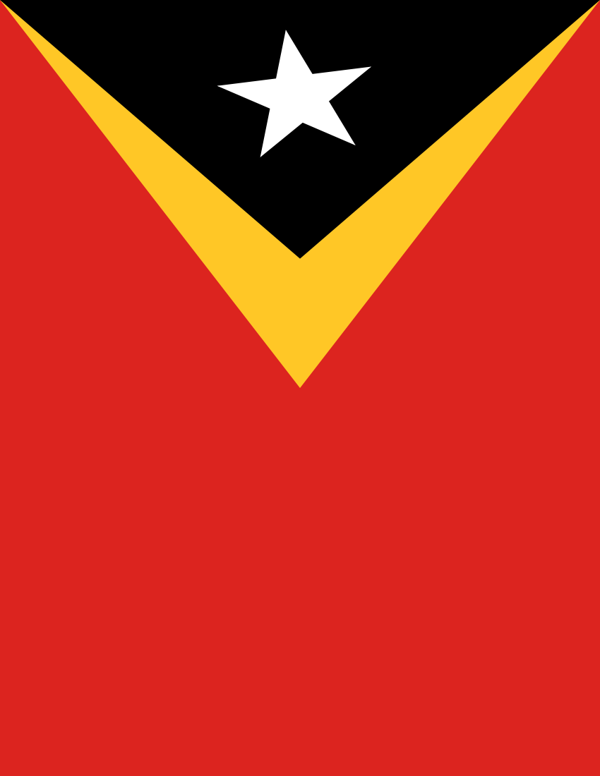 east timor flag full page