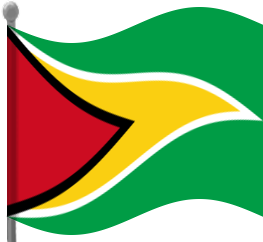 guyana flag waving