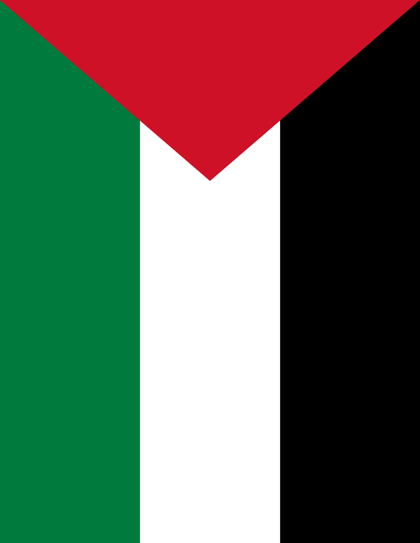palestine flag full page