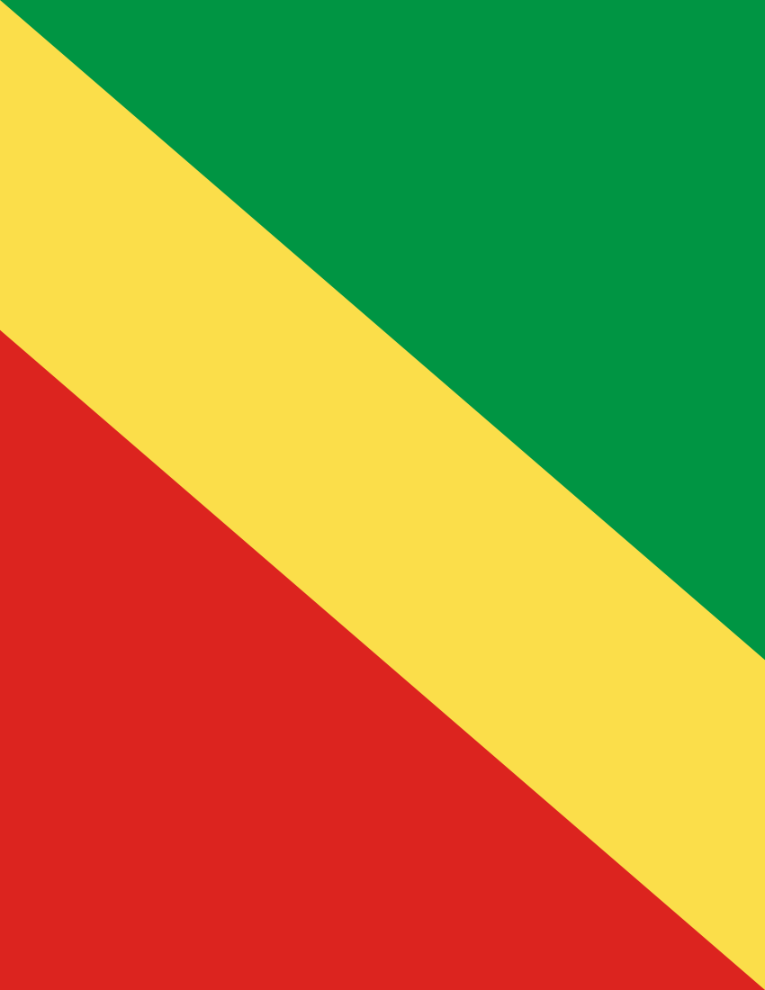 republic of the congo flag full page