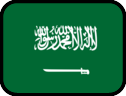 saudi arabia outlined