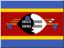 swaziland icon 64