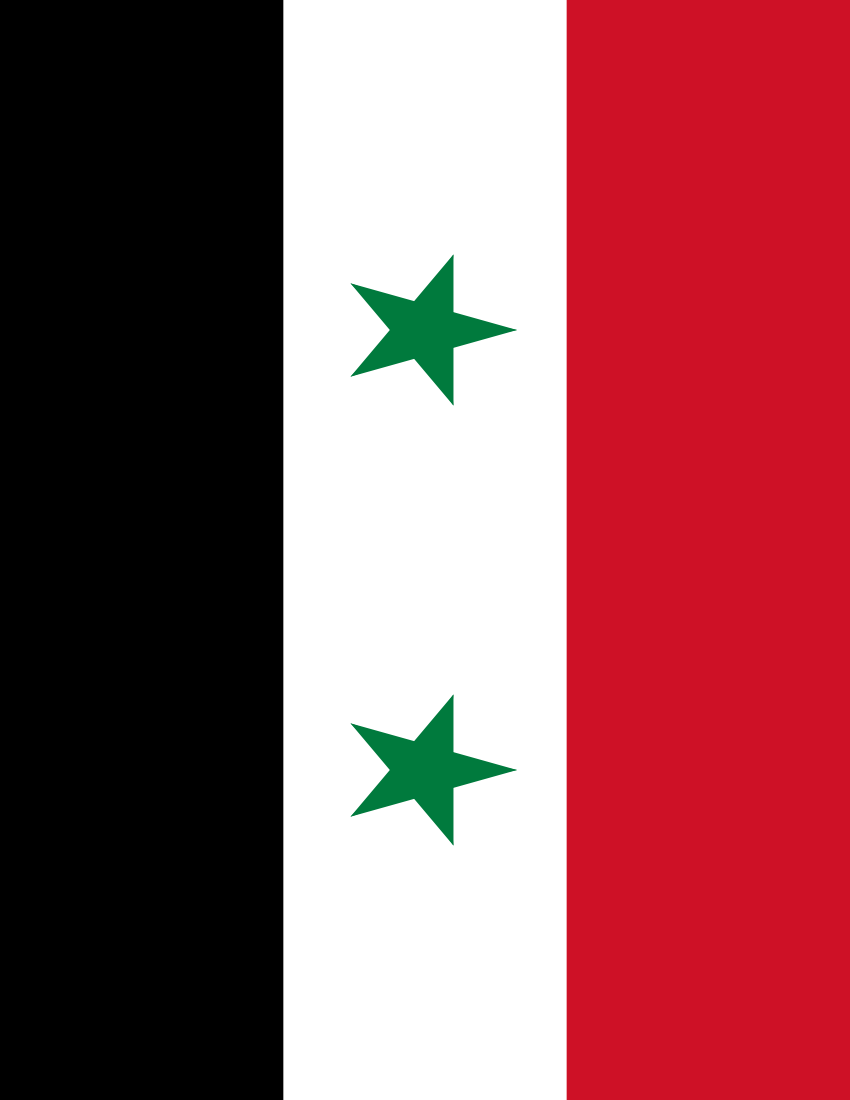 syria flag full page