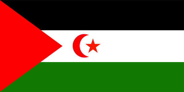 western sahara flag