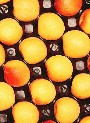 apricot packed