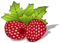 raspberry clipart