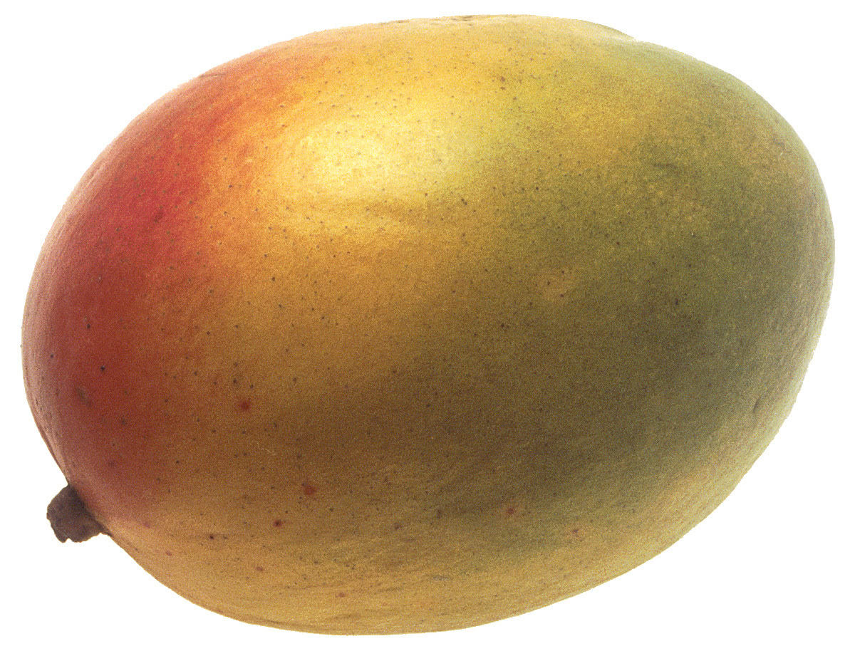mango large