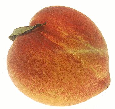 peach 2