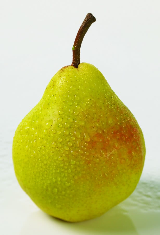 pear photo