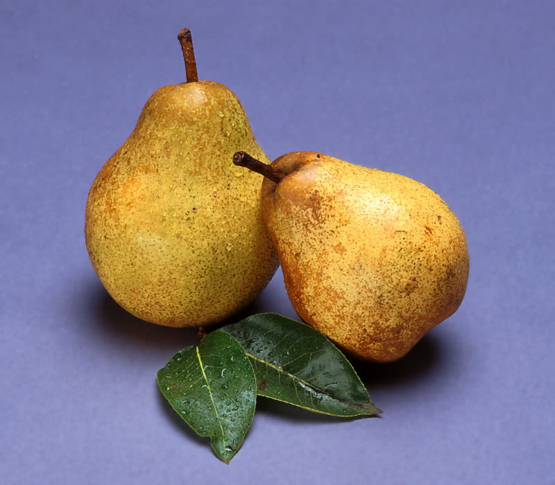 pears picture