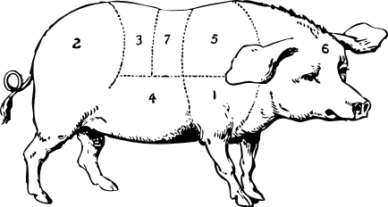 hog butcher diagram
