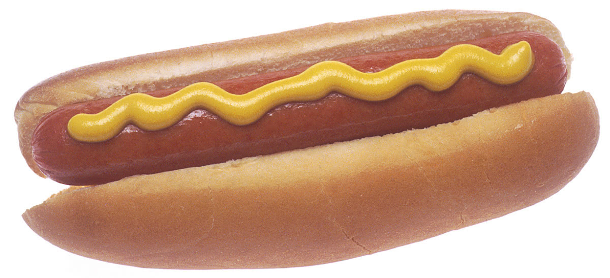 hot dog large