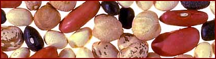 beans banner