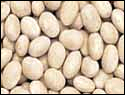 beans navy
