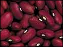 beans smred