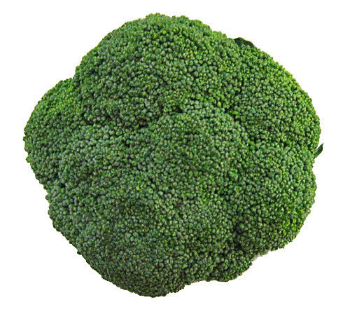 broccoli top view