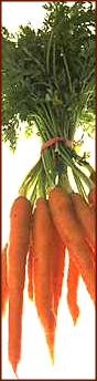 carrots vertical