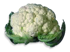 cauliflower 2
