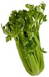 celery sm