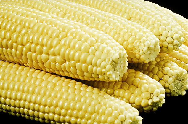 corn on cobs husked