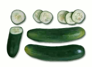 cucumbers 1