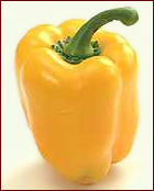 bell pepper yellow 2