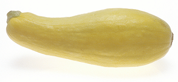 yellow squash clipart - photo #9