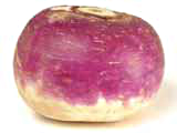 turnip photo