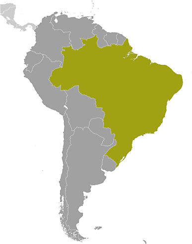 Brazil location