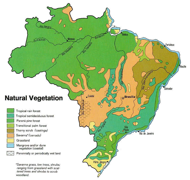 Brazil vegetation 1977