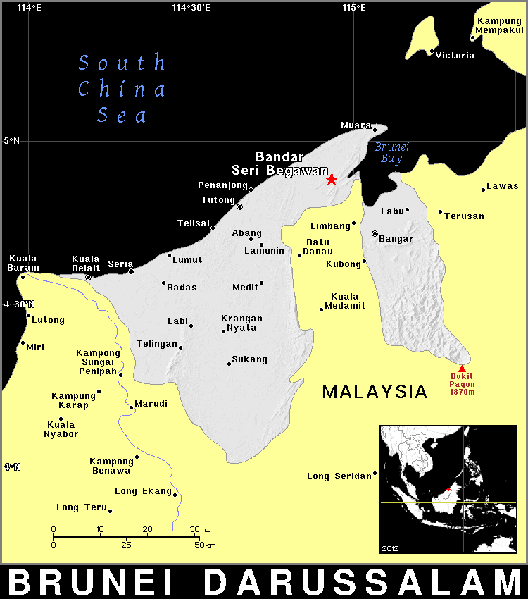 Brunei Darussalam detailed dark