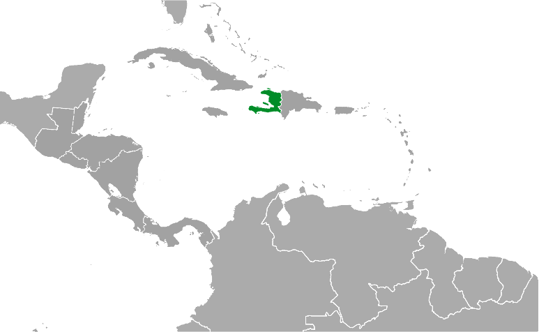 Haiti location