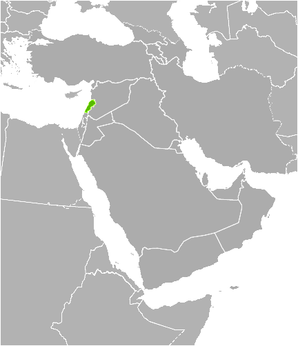 Lebanon location