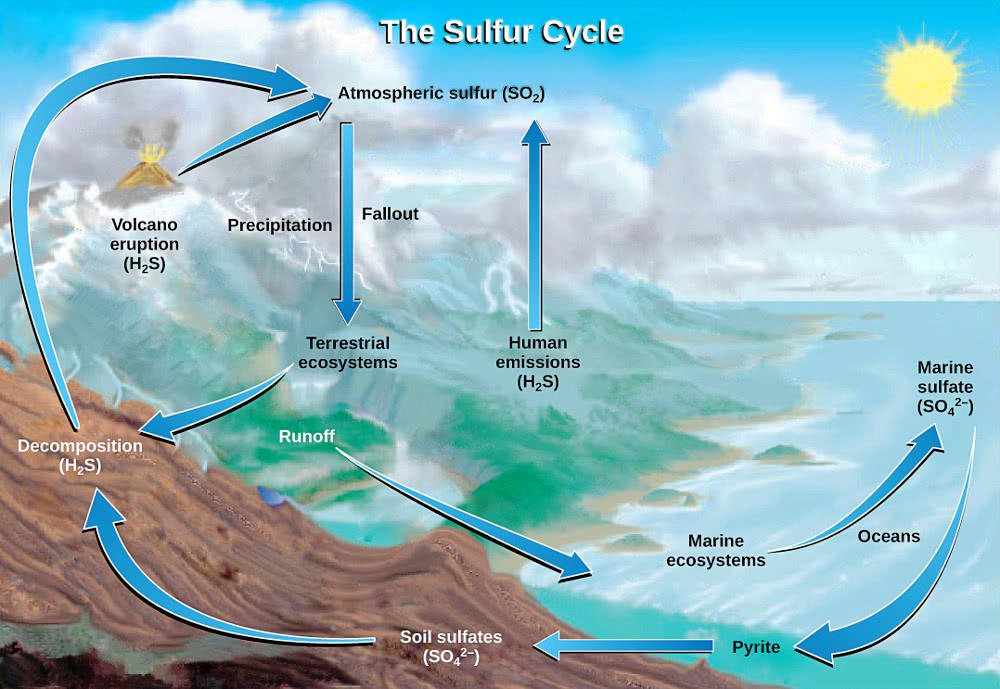 Sulfur cycle USGS