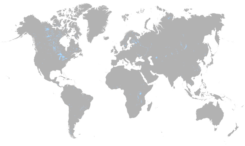 world map simple
