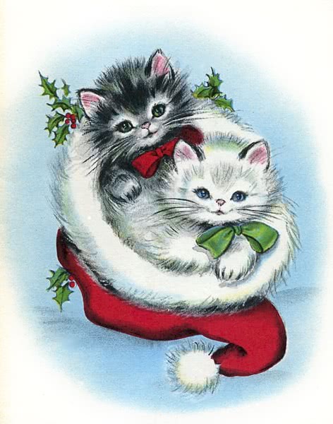 Kittens in Santa hat