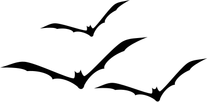 bats flying toward