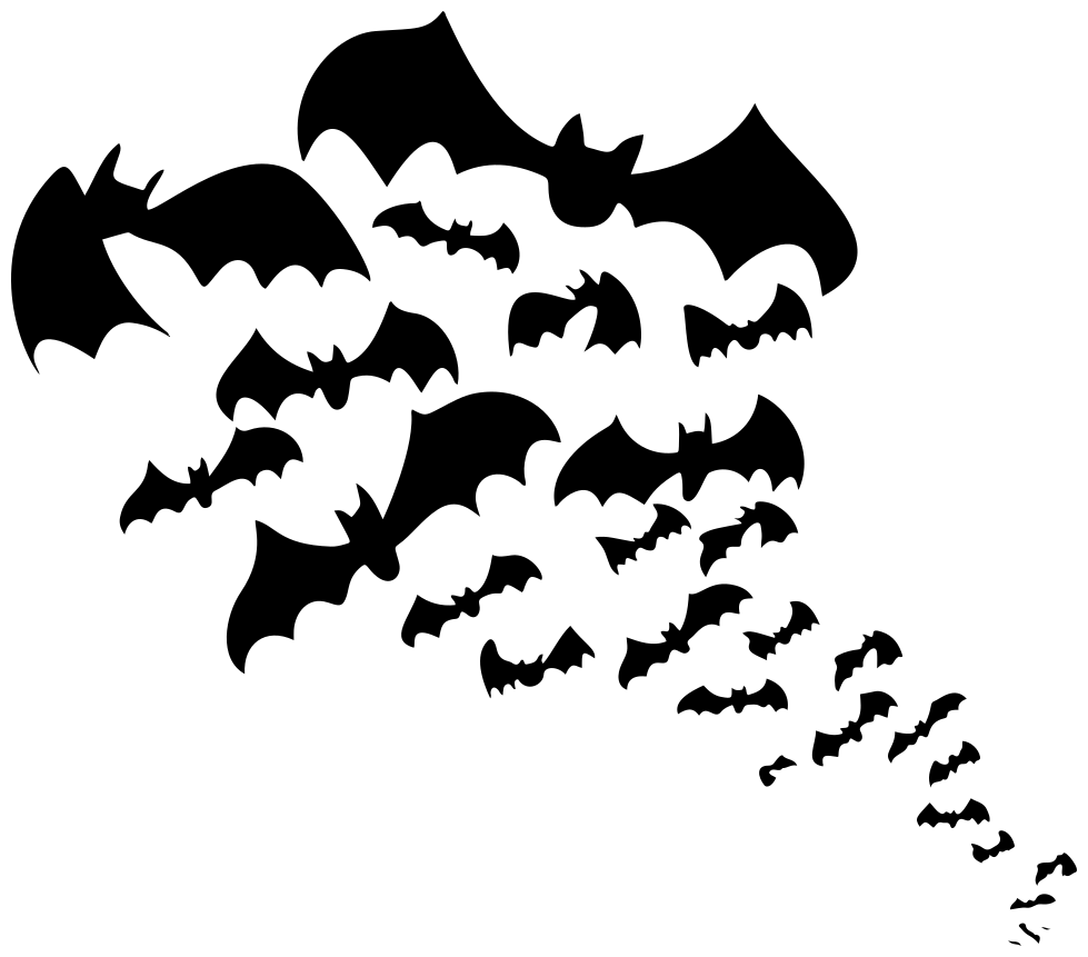 bats flying 2