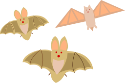 bats friendly