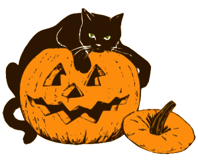 cat on Halloween pumpkin