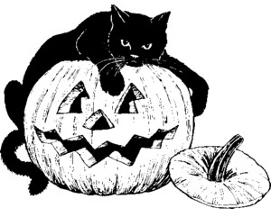 cat on Halloween pumpkin BW