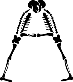 skeleton A