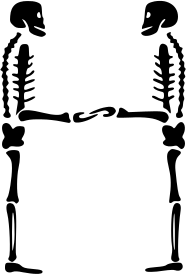 skeleton H