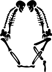 skeleton Q